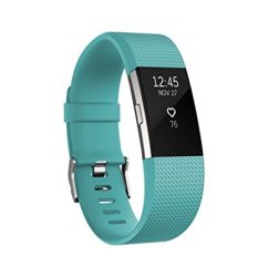 fitbit-1